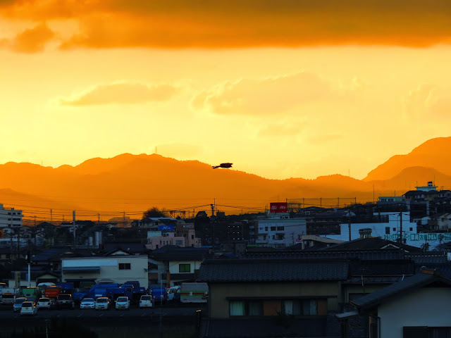 吉田太陽の丘公園から夕方の風景-13