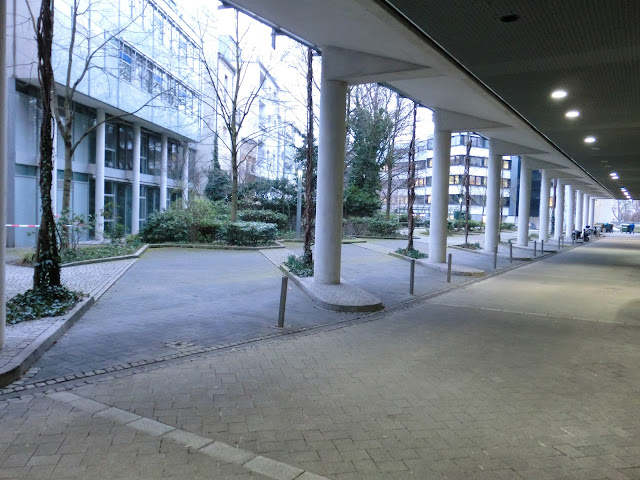 CIMG0824.JPG