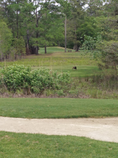 Golf Course «Witch Golf Links», reviews and photos, 1900 SC-544, Conway, SC 29526, USA