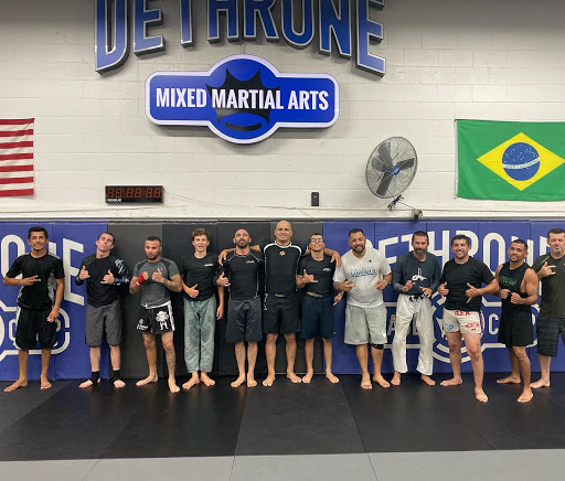 Dethrone Mixed Martial Arts