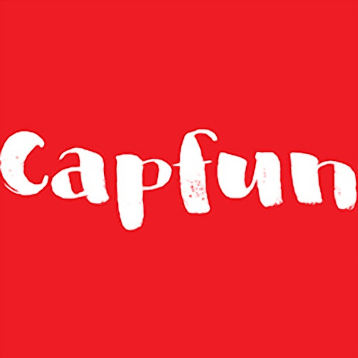 Vakantiepark Capfun Wondermolen logo