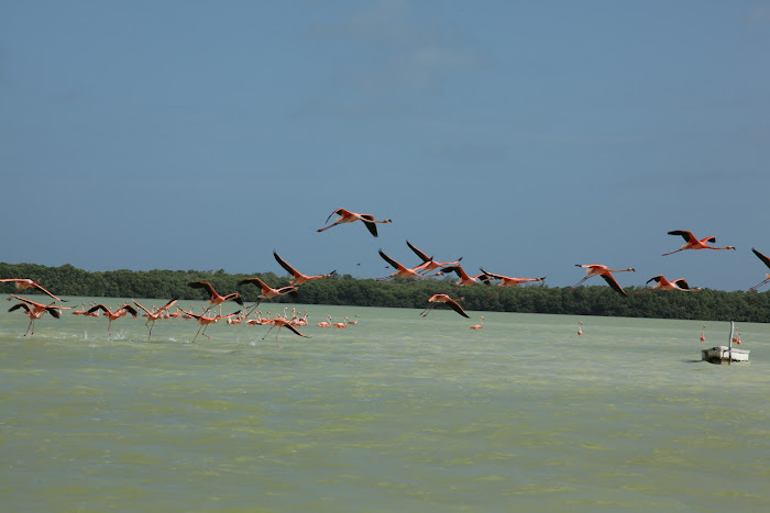 Причёсанный и прилизанный маршрут (Юкатан-Кампече-Чьяпас-Кинтана Роо)