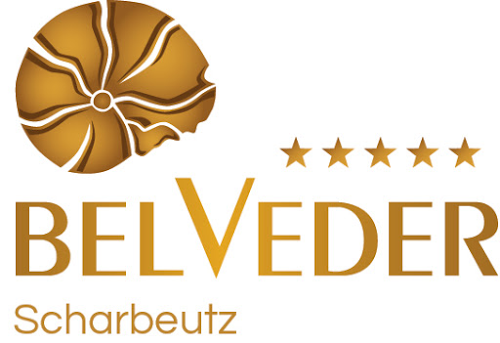 Hotel Gran Belveder logo