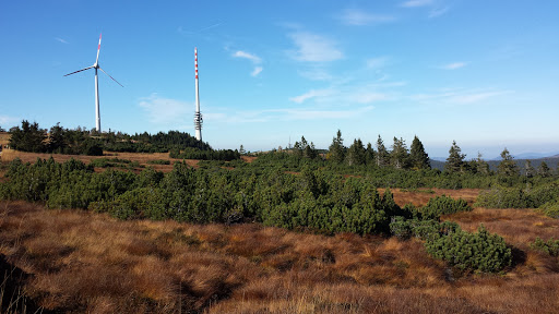 Wilder See – Hornisgrinde