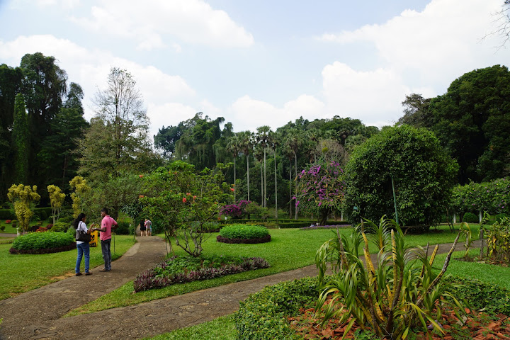 Шри-Ланка: на машине 1 100 км,  фото без комментариев, март-апрель 2013г.