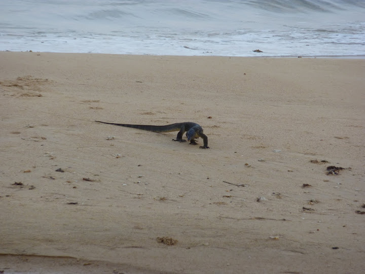 Blog de voyage-en-famille : Voyages en famille, Tioman - Kuala Lumpur