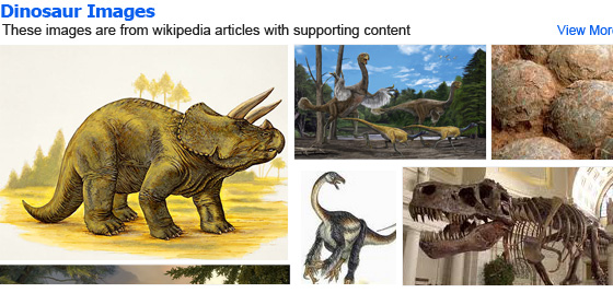 Grid of dinosaur photos