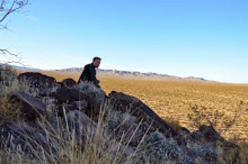 First Round Of Solar Projects Cast Shadow On Future Of Desert Ecosystem