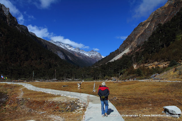 Enjoying a quiet nature walk in the high Himalayas