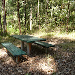 Picnic table at Lily Pond Picnic Area in Blackbutt Reserve (401128)