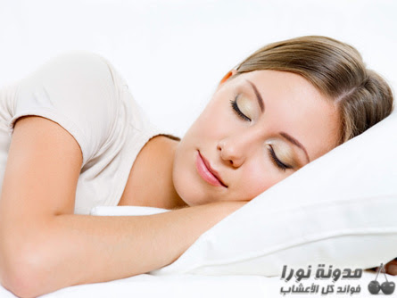 قائمة أطعمة صحية تساعد على نوم صحي وهاديء Sleep-nora