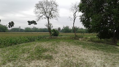 Photos of Jharua Pond, Nijpara
