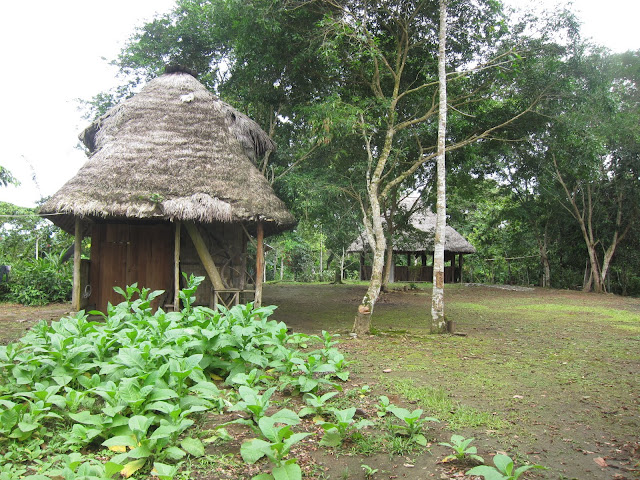 The Kichwa village