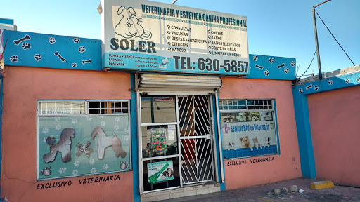 Veterinaria y Estética Canina Profesional Soler, Braulio Maldonado 1, Soler, 22530 Tijuana, B.C., México, Veterinario | BC