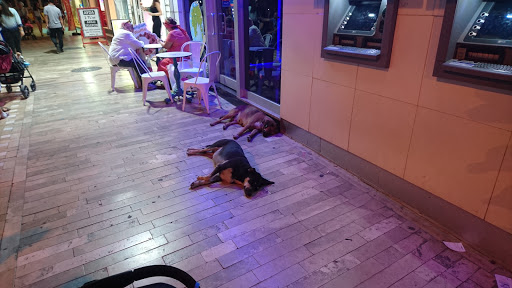 Yapı Kredi Bankası - Üçkapılar Şubesi