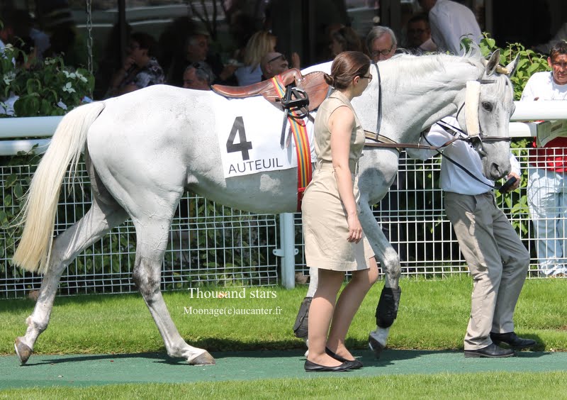 Photos Auteuil 8-06-2014  - Page 2 IMG_1833