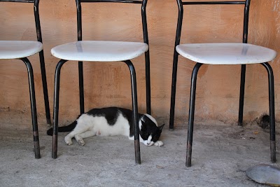 Photos of Nous Nous Cafe