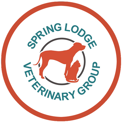 Spring Lodge Veterinary Group