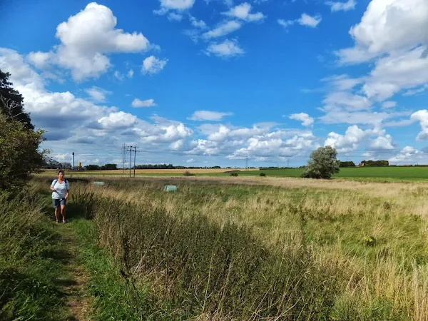 Blue skies and fluffy clouds near Badley