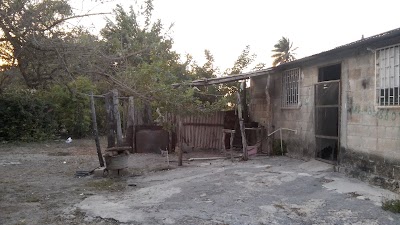 Photos of Coppel - Los Manguitos