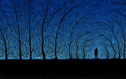 Cover photo