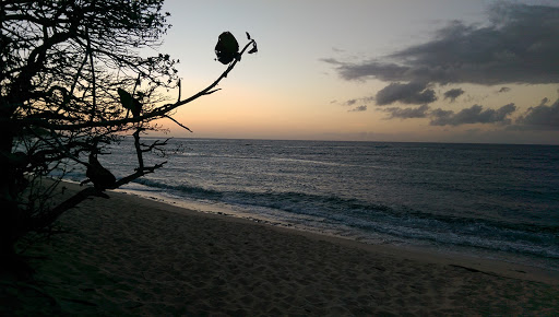 Mokulēʻia Beach Park