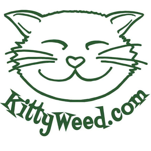 KittyWeed
