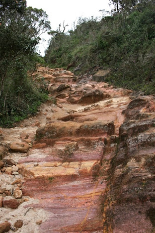 Sri Lankа - сейчас. Много фото пляжей. Sri Lankа - сейчас. Много фото пляжей.