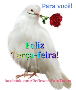 blogger-image--235936283.jpg