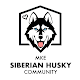 MKE Siberian Husky Community