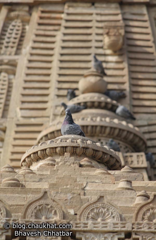 Bhangarh - Entrance Temple Steeple and Pigeons