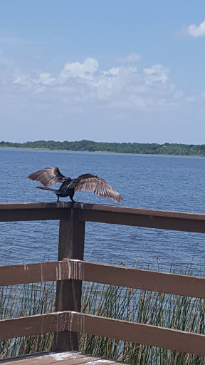 Nature Preserve «Lake Apopka Wildlife Drive», reviews and photos, 2803 Lust Rd, Apopka, FL 32703, USA