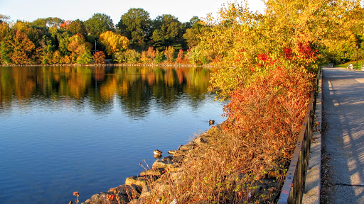 Park «Silver Lake Park», reviews and photos, Silver Lake Park Rd, Staten Island, NY 10301, USA