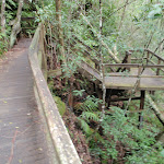 Path to Somersby Falls (54458)
