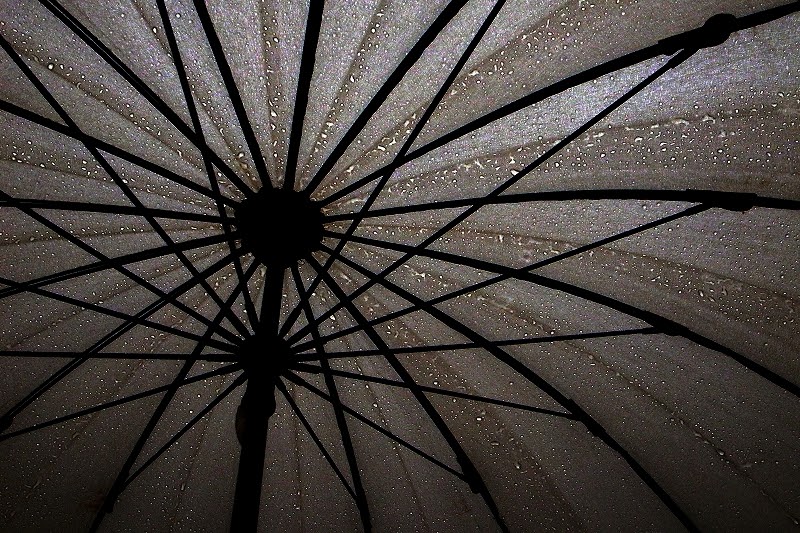 Transparence Umbrella inside