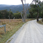 Walking along the Thredbo Diggings dirt road (296468)