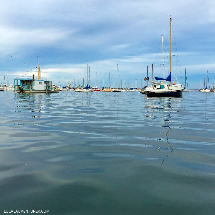 Kayaking in Monterey Bay.