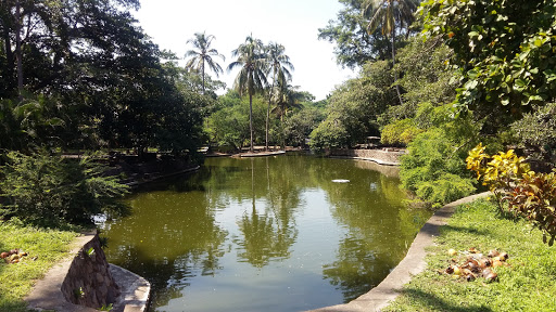 Parque Regional Metropolitano Griselda Álvarez, Santos Degollado s/n, Centro, Colima, Col., México, Parque | COL