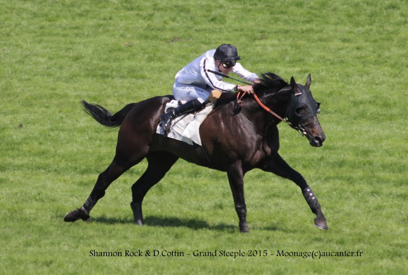 Photos Auteuil 17-05-2015 Journée du Grand Steeple IMG_0226