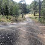 Road to Congewai valley (59771)