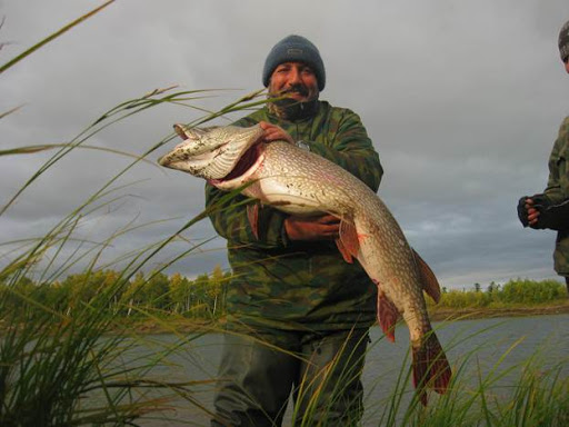 Рыбалка на реке Войкар - Заметки «чайника» за 65 параллелью.