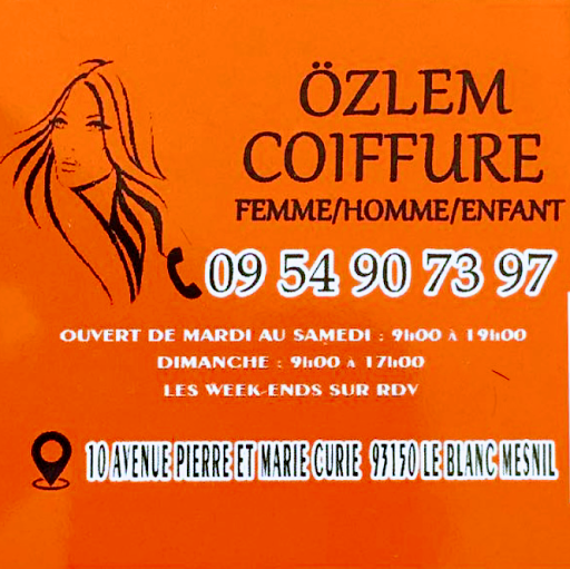 Özlem Coiffure logo
