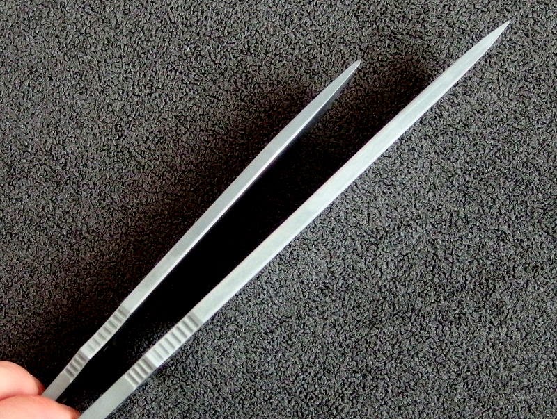 P8281529-001.JPG