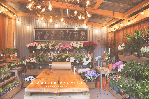 Balgove Larder