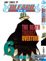 Bleach_vol_06.jpg