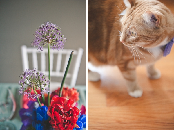 Cat themed wedding shower ideas