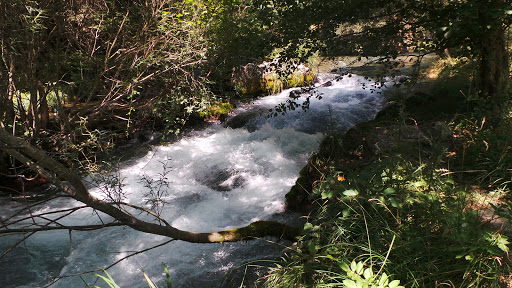 Lousios Gorge Hiking