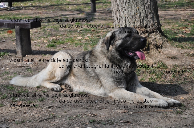 DSC_0123w.JPG