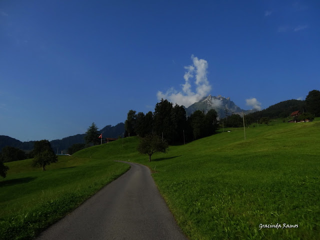 passeando - Passeando pela Suíça - 2012 - Página 13 DSC04459