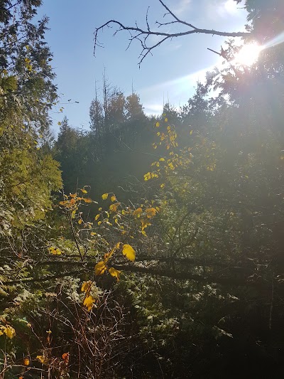 Photos of Bannockburn Trail